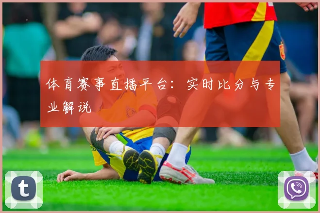 体育赛事直播平台：实时比分与专业解说