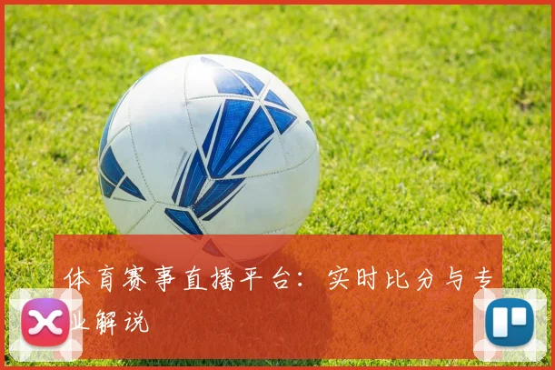 体育赛事直播平台：实时比分与专业解说